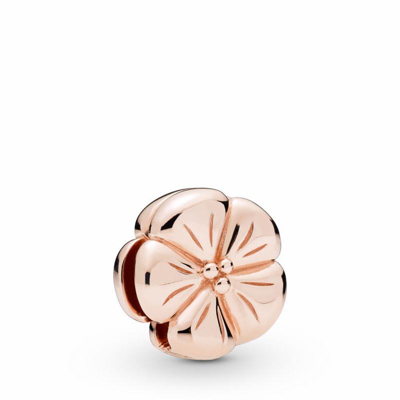 Pandora Rose™ Reflexions™ Classic Flower Clip Charm Ireland - Pandora Rose/Silicone - 907465SPZ